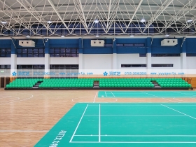 湖北省——武漢育欣小學(xué)體育館 湖北省——武漢育欣小學(xué)體育館